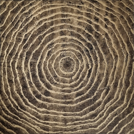 SMC 166_Lebenslinien II_100 x 100 x 2cm